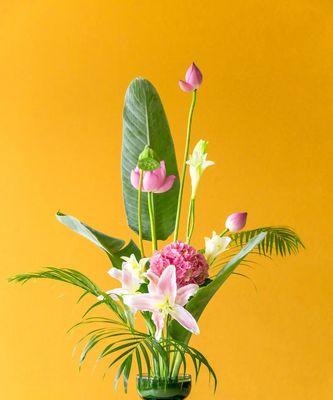 花语传递平安的美好祝愿（以表示平安的花花语是平安的花有哪些）