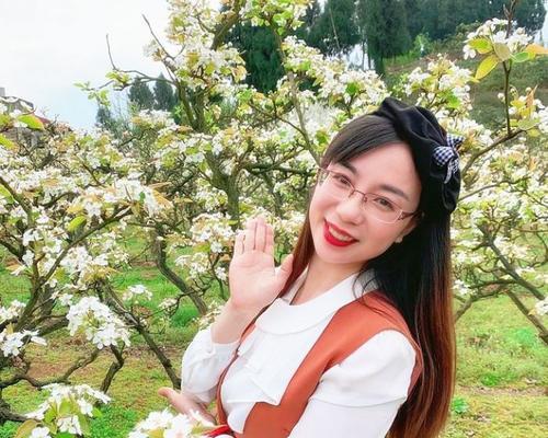 老师心中的绿色使者（揭秘那些代表老师的植物之美）