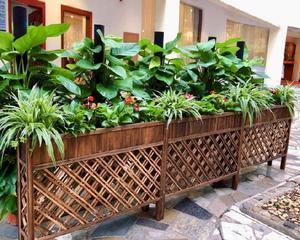 如何选择适合种植植物的木箱（以花卉、蔬菜为例）