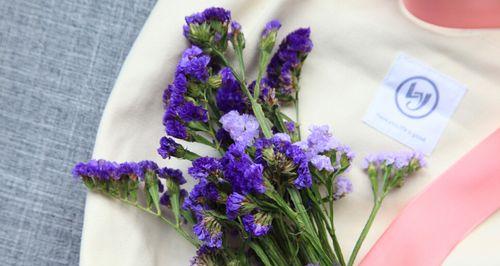 勿忘我，寄托记忆的花（以勿忘我是暗示什么）