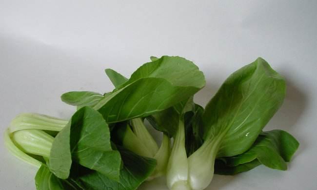 油菜——一种营养丰富的蔬菜（探究油菜的来源）