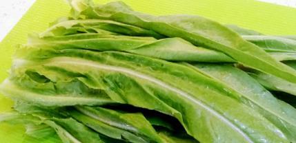 生吃油麦菜可行吗？——油麦菜生食疑问解答