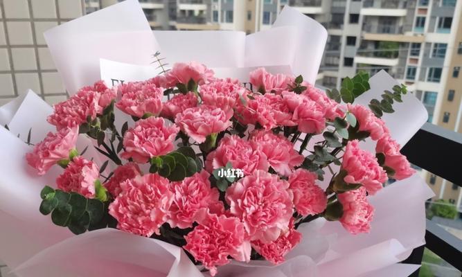 粉康乃馨的花语与意义（探秘粉康乃馨背后的深意）