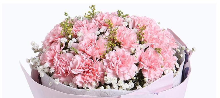 康乃馨花语与寓意（探索康乃馨的花语与象征意义）
