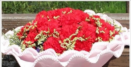红色康乃馨的花语与意义（红色康乃馨的浪漫与热情）