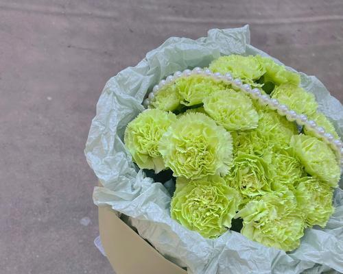 绿色康乃馨的花语传递生机与希望（探寻绿色康乃馨花语的深刻含义）