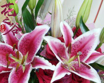 百合与玫瑰（花开时）