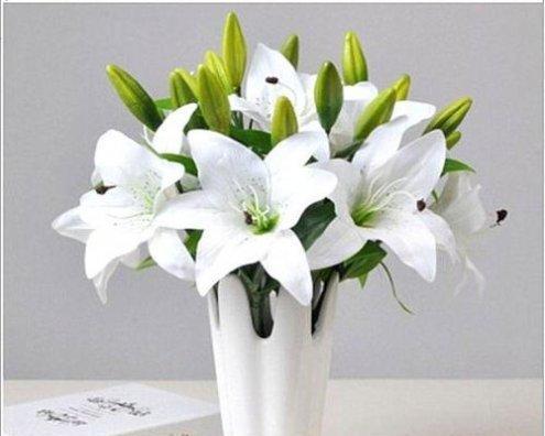 百合花（探索百合花作为文化符号和情感象征的多重意义）