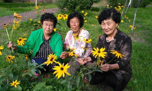 花花情缘（用花花共诉友情）
