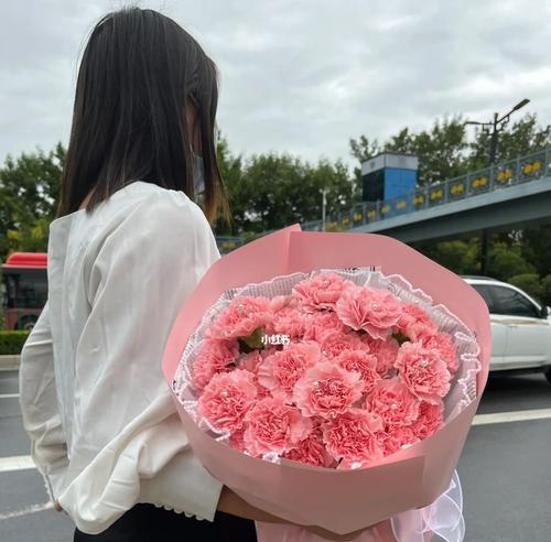 粉色康乃馨的象征意义及美丽之源（揭示粉色康乃馨的情感与美感）