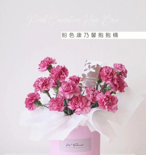 粉康乃馨的花语（传递爱与感恩的美丽祝福）