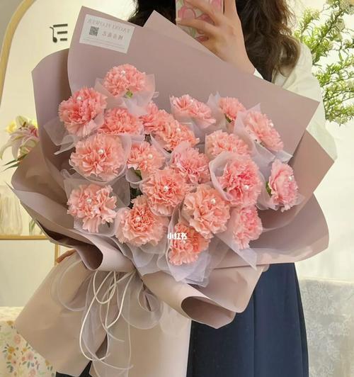 粉色康乃馨的花语与象征意义（探寻粉色康乃馨的美丽和深刻寓意）