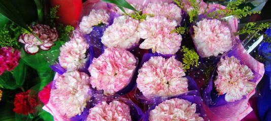 粉色康乃馨的花语（以花为语）