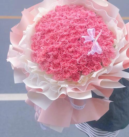 粉色康乃馨（康乃馨）