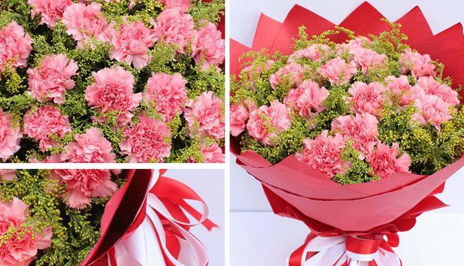 康乃馨花语解析（了解康乃馨的意义）