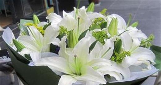 百合花的象征意义与送女朋友的深意（探索百合花在爱情中的隽永寓意与美好祝愿）