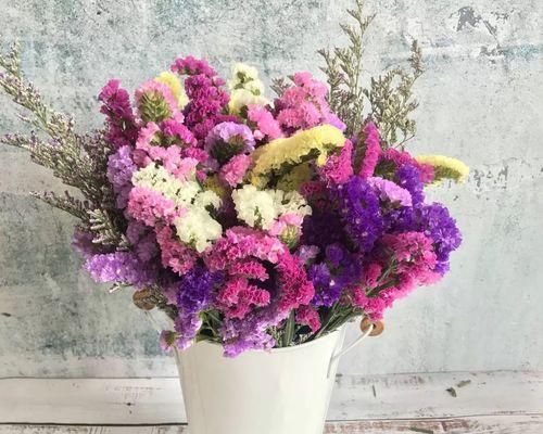 勿忘我花的含义及象征（探索勿忘我花的花语和文化内涵）
