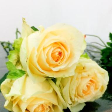 香槟玫瑰的花语（揭秘香槟玫瑰的花语及其象征意义）