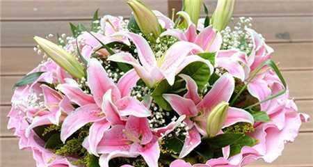 百合花的花语和寓意（探索百合花的意义及其在生活中的象征）