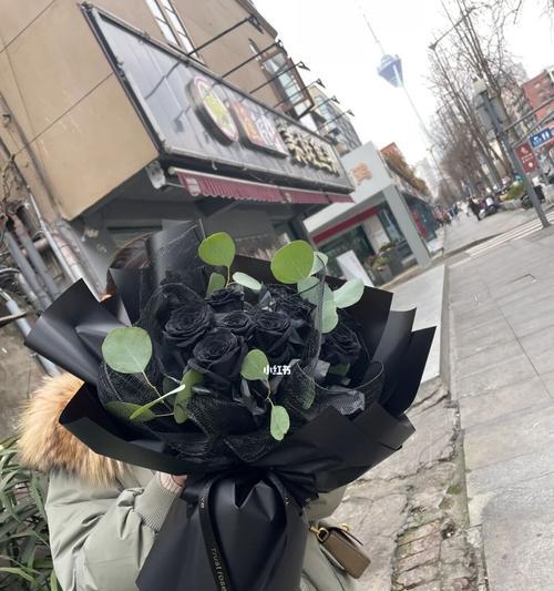 黑玫瑰的神秘与魅力（探寻黑玫瑰背后的意义与传说）