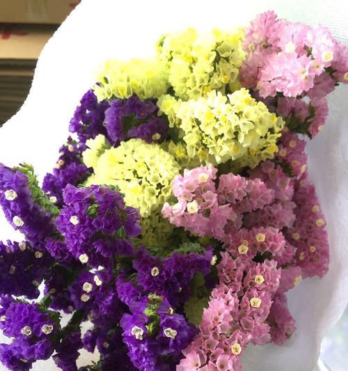 勿忘我花的寓意是什么？如何正确理解勿忘我花的含义？
