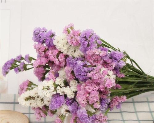 勿忘我花的寓意是什么？如何正确理解勿忘我花的含义？