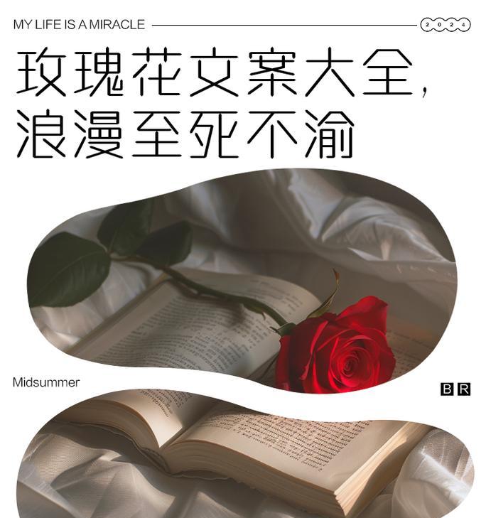 哪种花代表至死不渝的爱情？它的花语是什么？