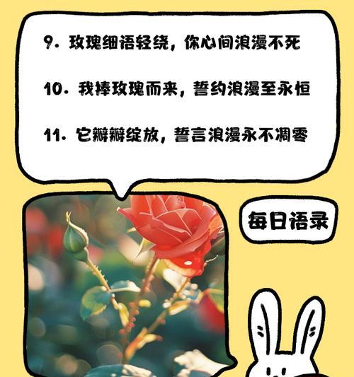 哪种花代表至死不渝的爱情？它的花语是什么？