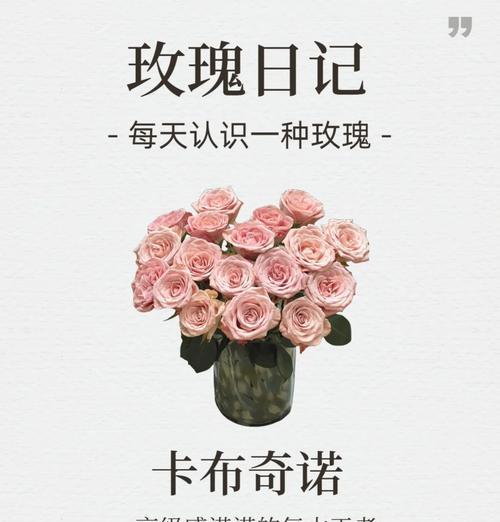 收到玫瑰花后如何正确养护？