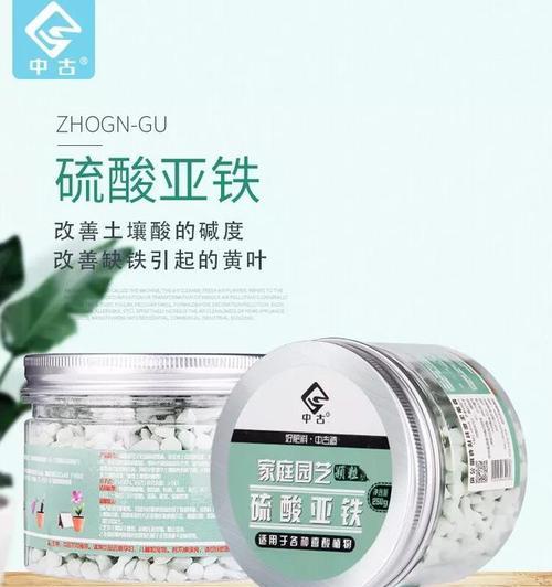 君子兰施肥时硫酸亚铁的使用方法是什么？