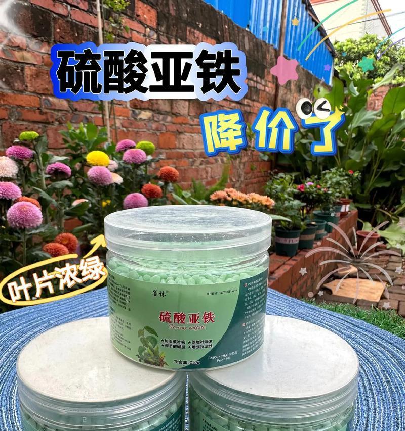 君子兰施肥时硫酸亚铁的使用方法是什么？