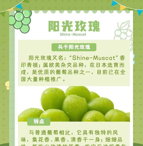 阳光玫瑰花前应该使用哪种肥料？