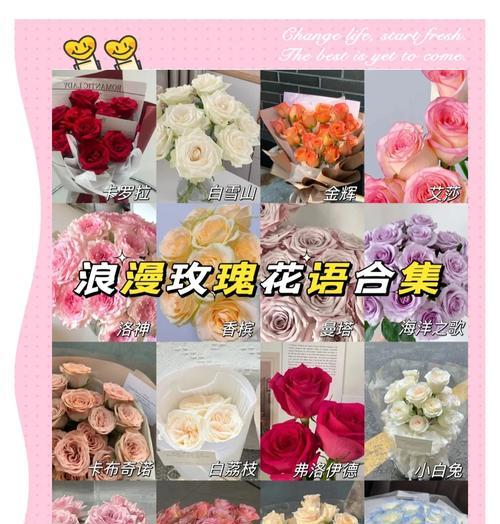 最朴素的送花语言是什么？蓝棉花花语象征与寓意是什么？