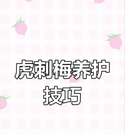 虎赤梅的正确养护技巧有哪些？