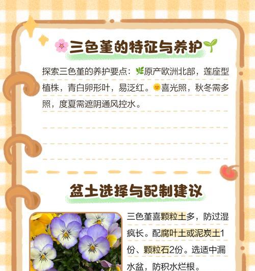 花草养护的基本方法是什么？有哪些注意事项？
