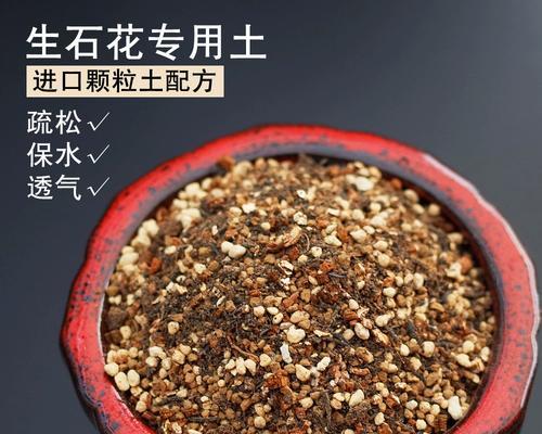 生石花种植的土壤选择和配制方法是什么？