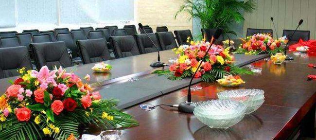 会议室适合摆放哪些植物？它们有什么好处？