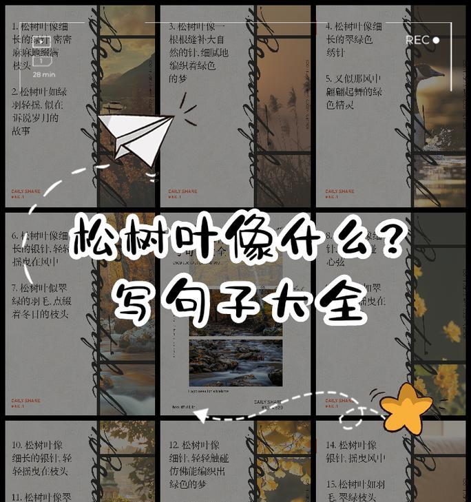松树的种植方法有哪些？如何确保松树健康成长？
