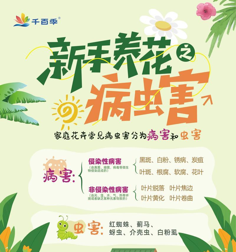 养花有哪些基本常识？如何应对常见问题？