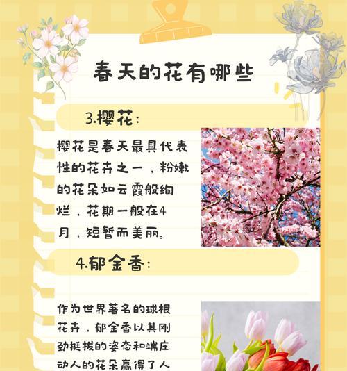 养花有哪些基本常识？如何应对常见问题？