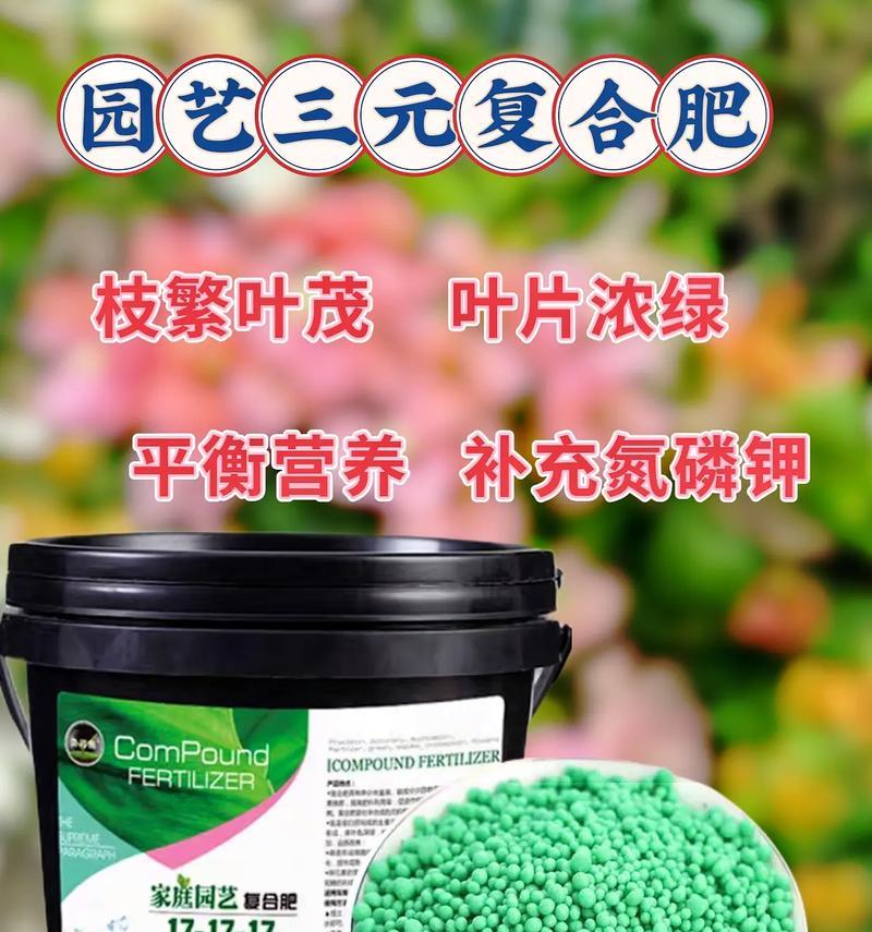 三角梅施肥应该使用哪种肥料？如何正确施肥以促进三角梅生长？