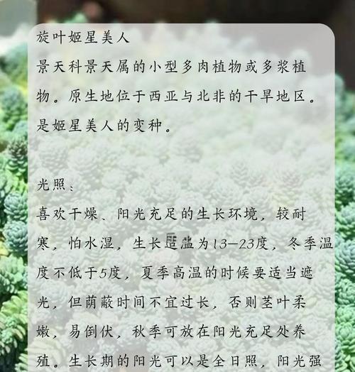 姬星美人繁殖方法有哪些？怎样才能繁殖成功？