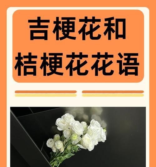 送你小心心的花语是什么意思？送你花语代表什么情感？