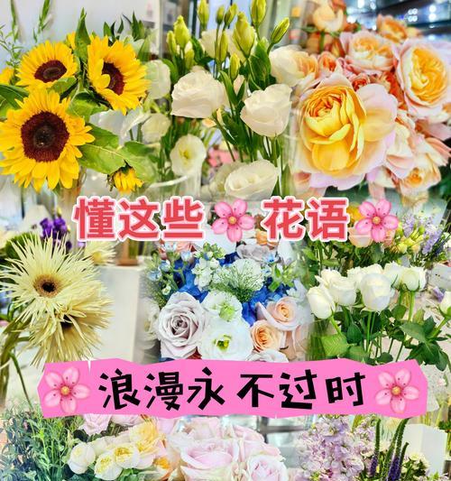 表达“我只爱你”的花语有哪些？