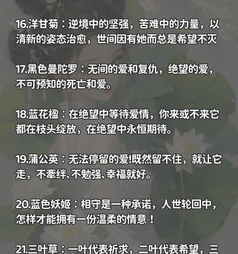 温柔大方善良体贴的花语是什么？它在花语中象征着什么？