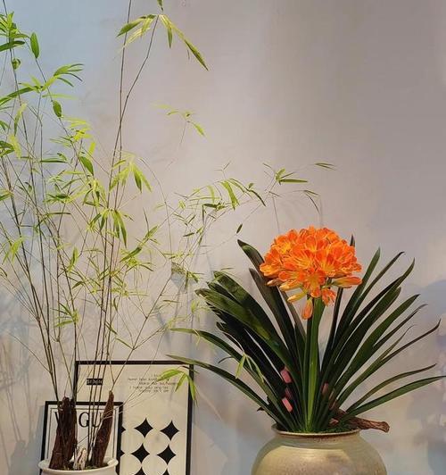 哪种花的花语最招人喜爱？招人喜爱的花语有哪些？