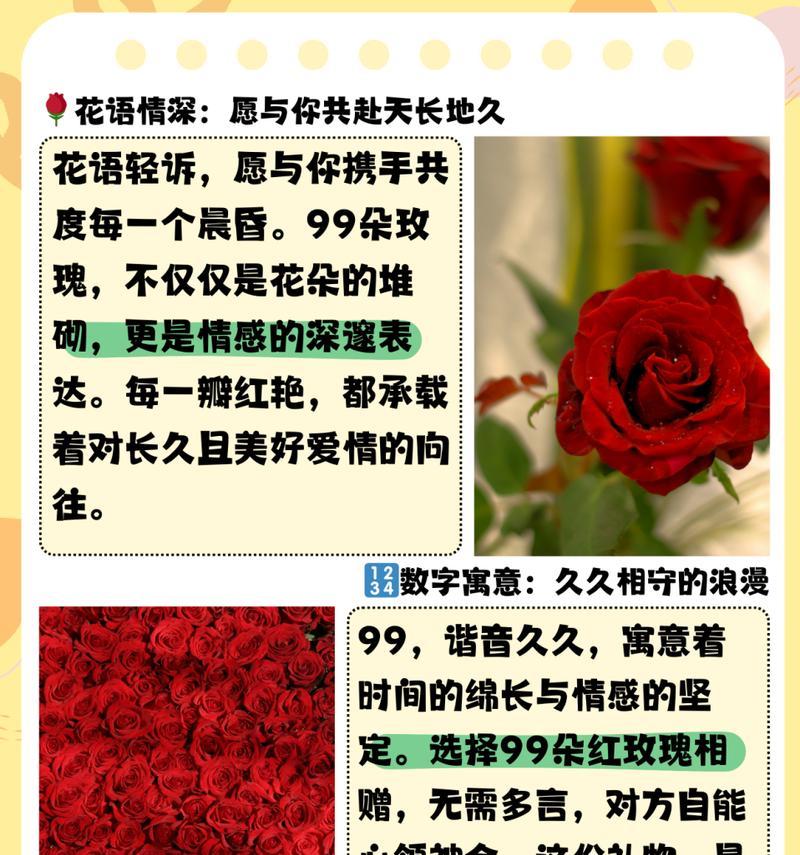 粉玫瑰的一句花语是什么？它表达的含义是什么？