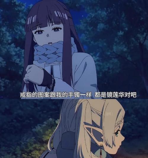 镜连华花语有何含义？送镜连华花有何寓意？