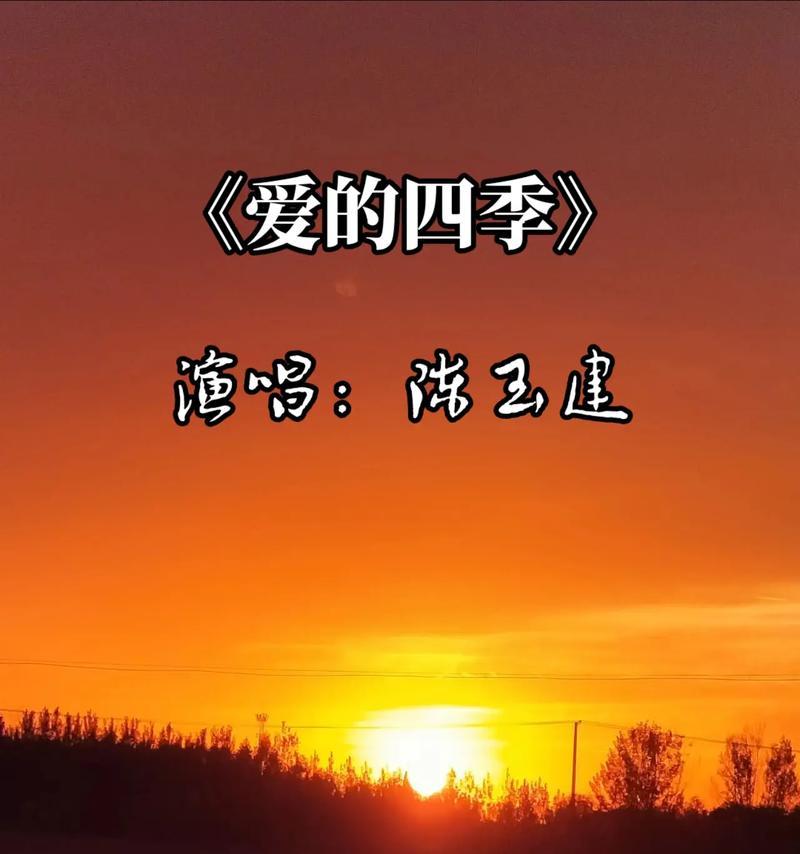 日落之城的花语代表了什么情感？
