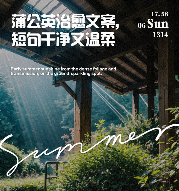 蒲公英的花语和含义有何深意？